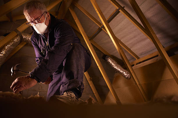 Best Insulation Installation Services in Millersville, TN